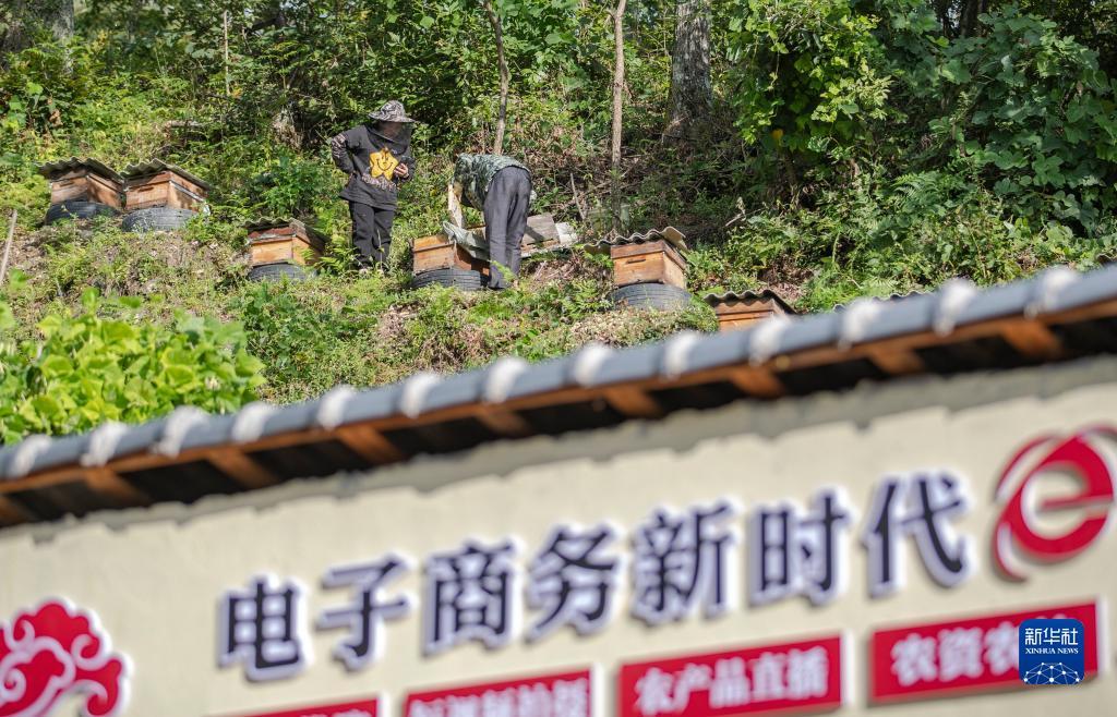 缅甸新百胜总汇